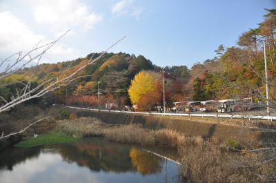 修善寺自然公園の紅葉